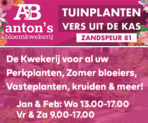 Antons Bloemkwekerij