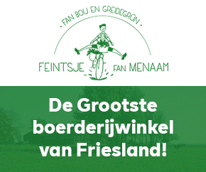 Feintsje van Menaam