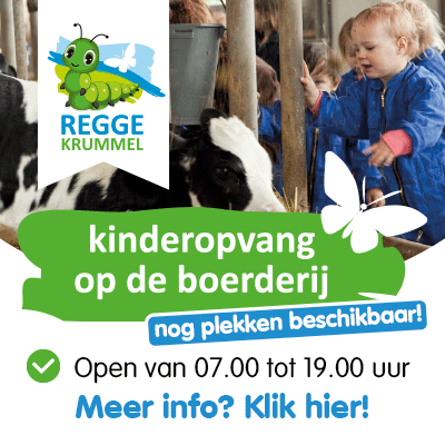 Regge Krummel