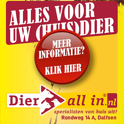 Dier All-in Dalfsen