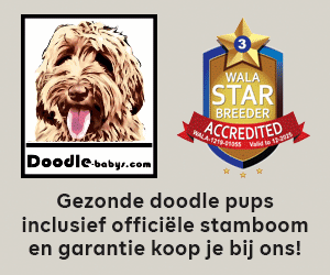 DoodleBabys