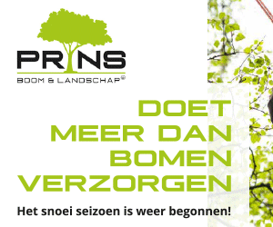Prins Boom & Landschap