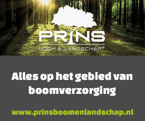 Prins Boom & Landschap