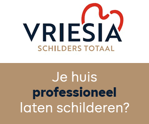 Vriesia Schilders